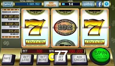 c77 - Winners Celebration